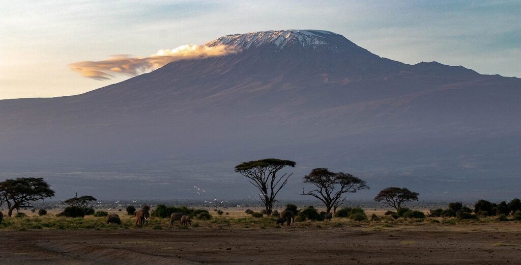 africa, kenya, amboseli national park